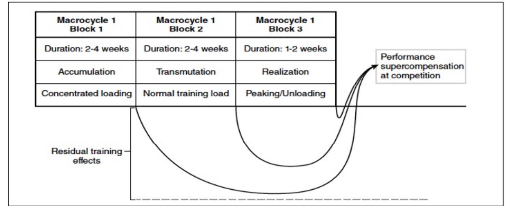(PDF) Concept of sports training periodization for better performance ...