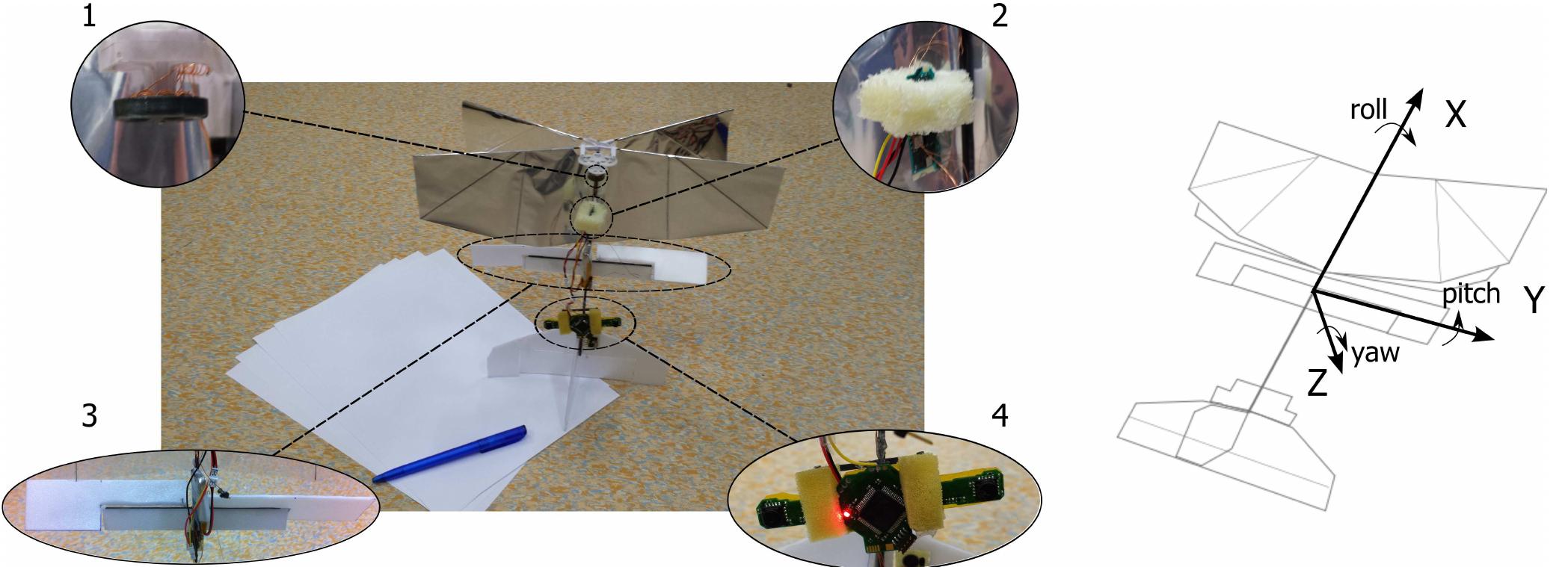 (PDF) Autonomous flight of a 20-gram Flapping Wing MAV with a 4-gram ...