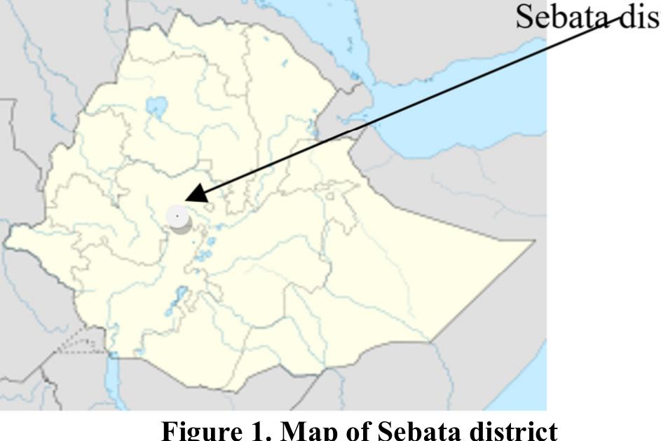 Sebeta Map (PDF) Milk Value Chain Analysis in Sebeta District, Center High land of ...
