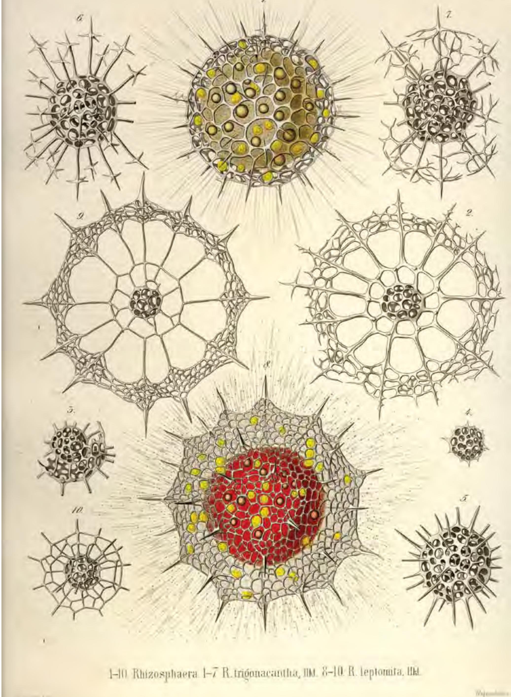 Figure 5 Research Design The Architecture Of Variation figure-5-research-design-the-architecture-of-variation