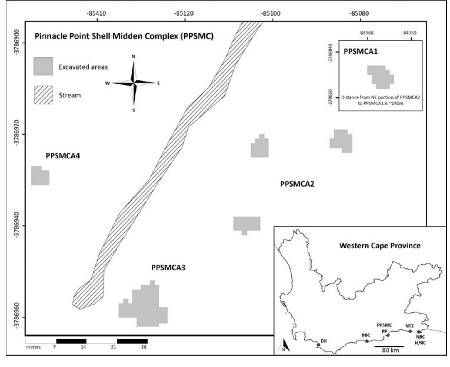 (PDF) Shellfish Exploitation Strategies at the Pinnacle Point Shell ...