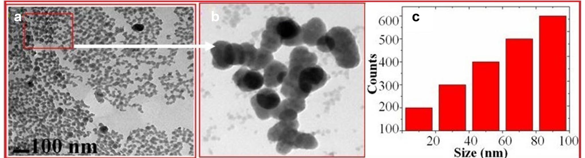 A and b tem and c histogram images of cuo nps fig.3 x-ray
