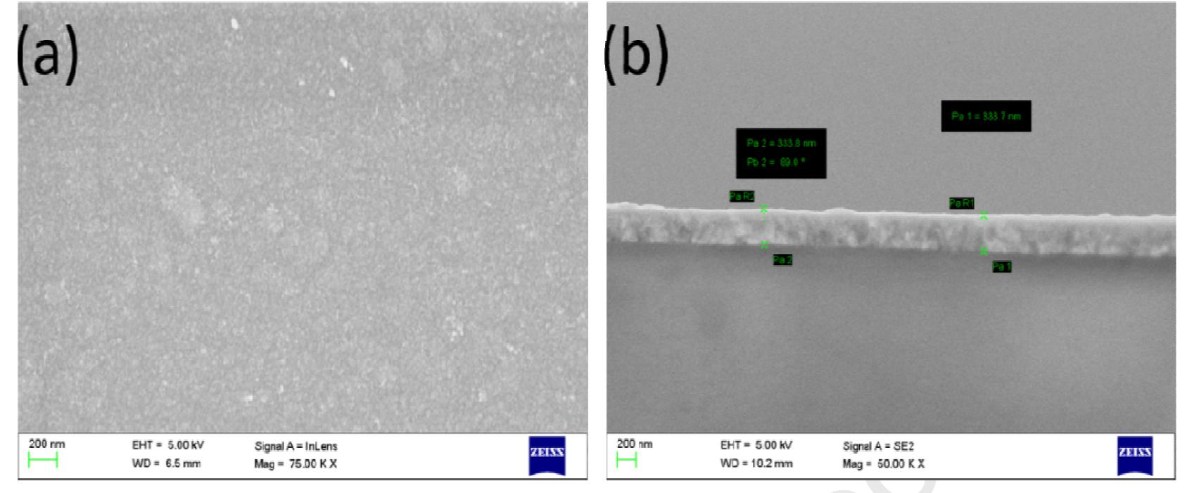 Shows the top view and cross-sectional fesem image of