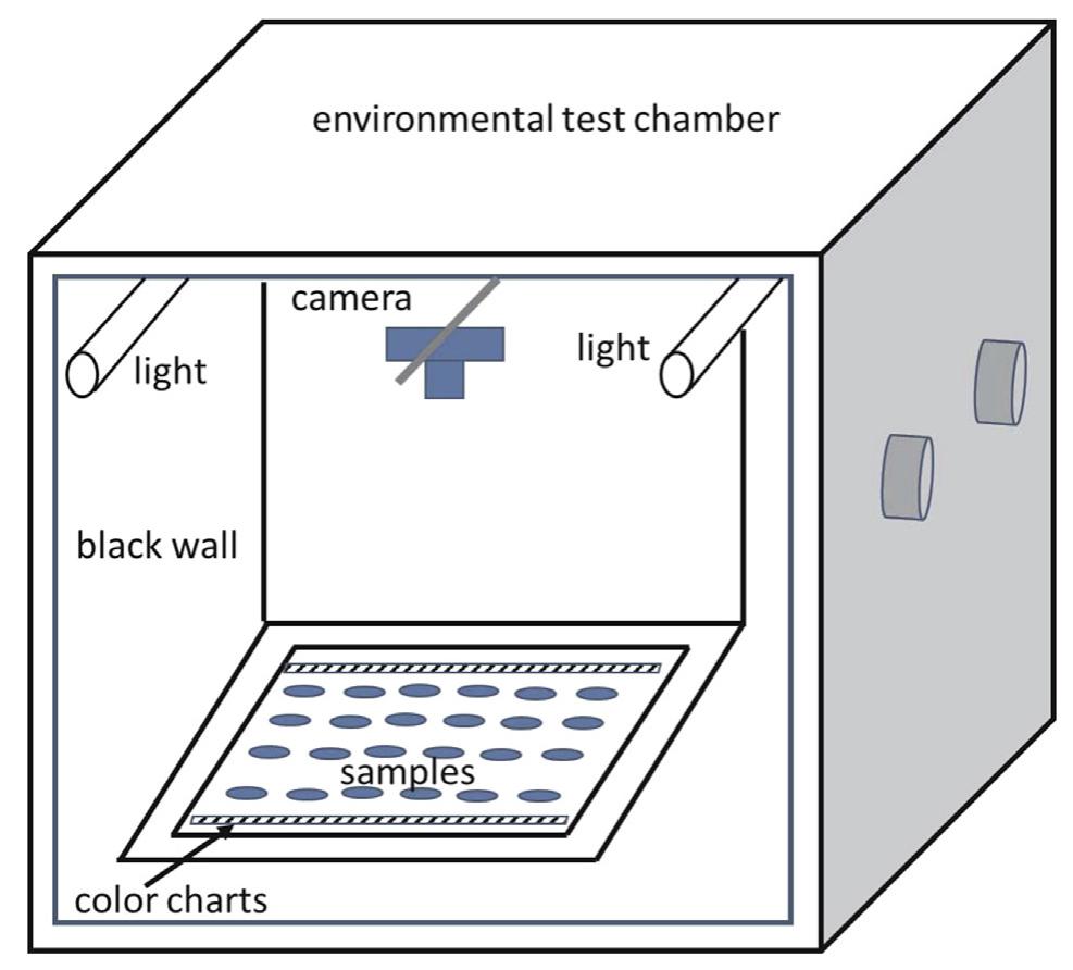 Fig. 1. Schematic representation of the experimental equipment. 