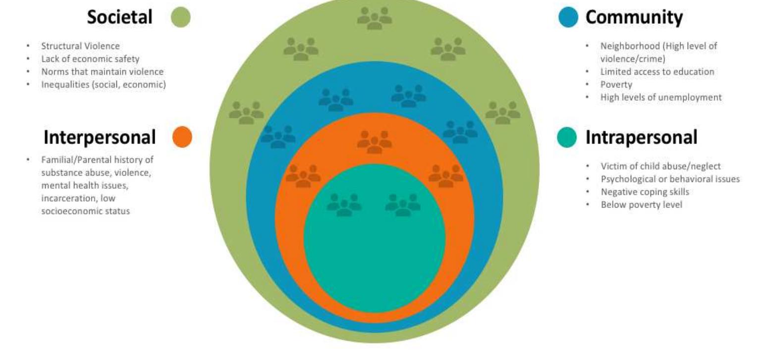 This diagram is a visual representation of the different