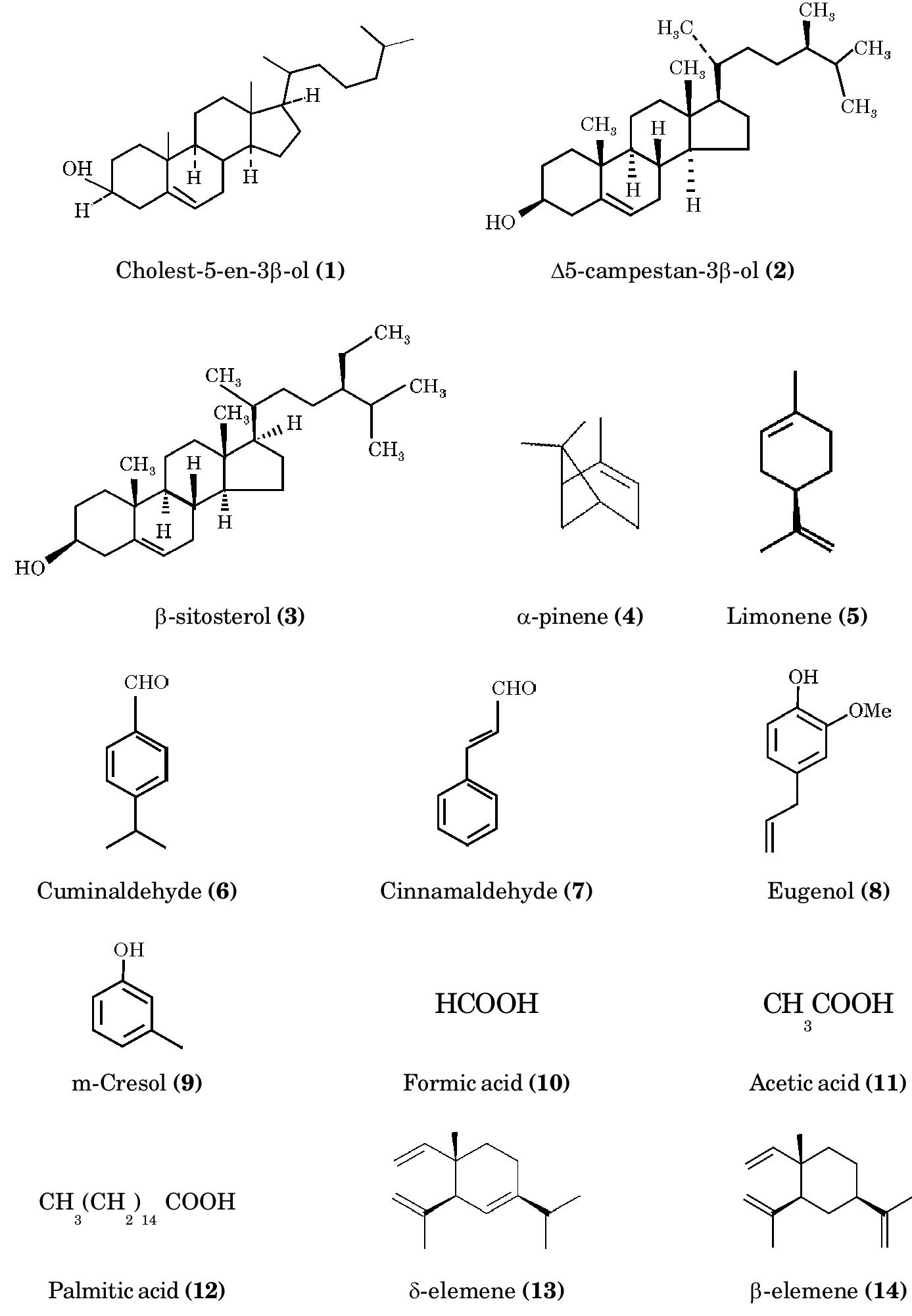 The ethanolic extracts of the plant when chromatographed on, image size:1387x2002