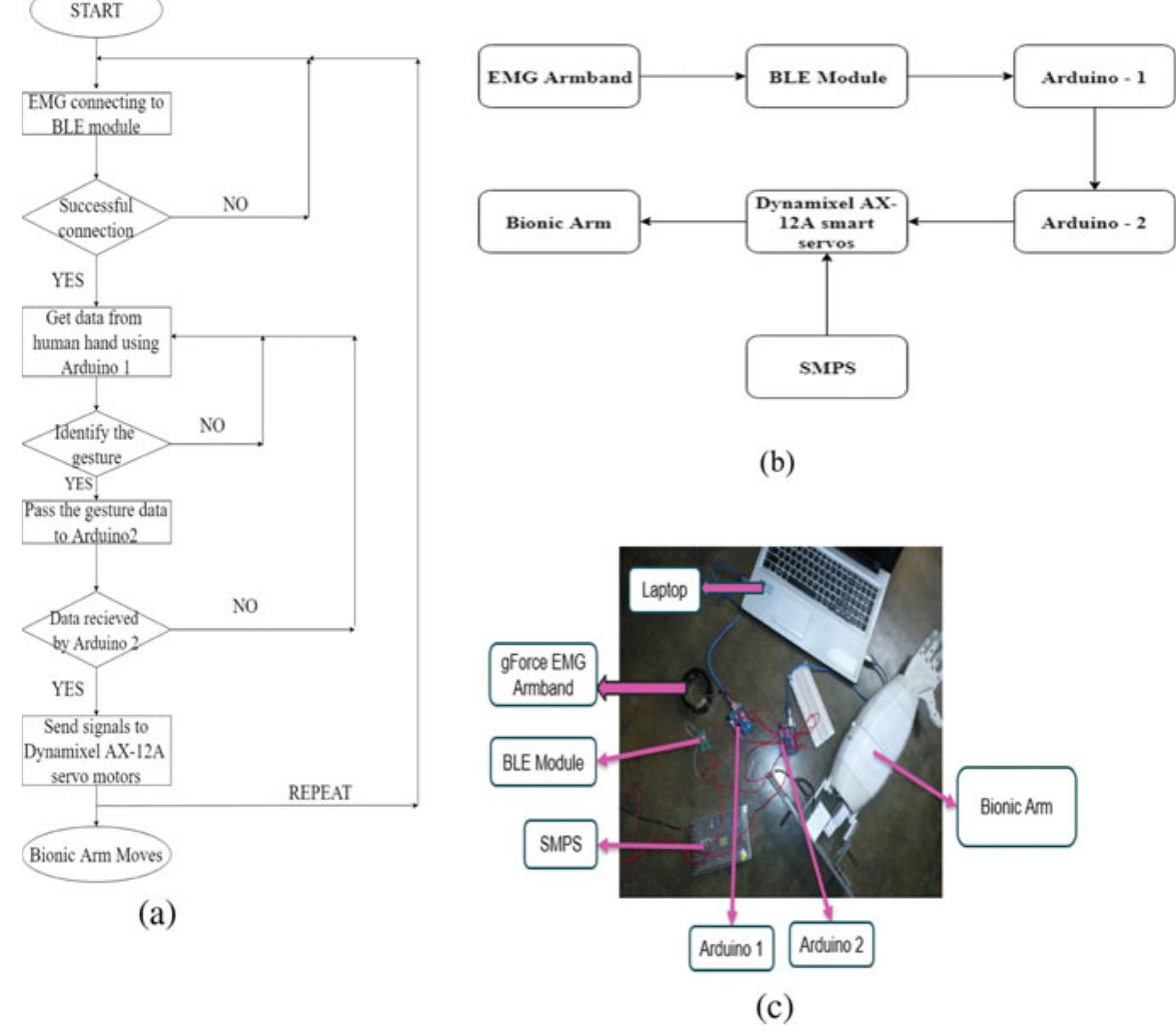(PDF) 7-DOF Bionic Arm: Mapping Between data gloves and EMG arm band ...