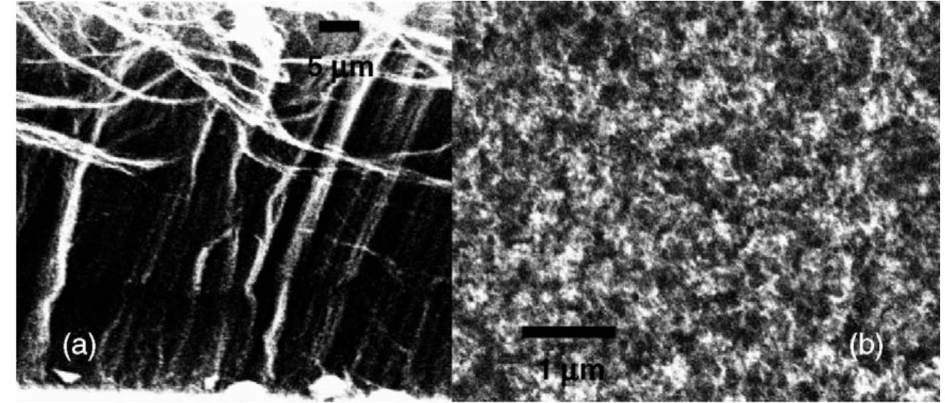 Figure 1 - from Cold cathodes for applications in poor