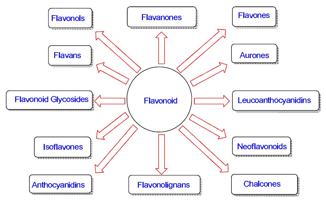 Figure 17 - from In memory of Prof. Venkataraman: Recent