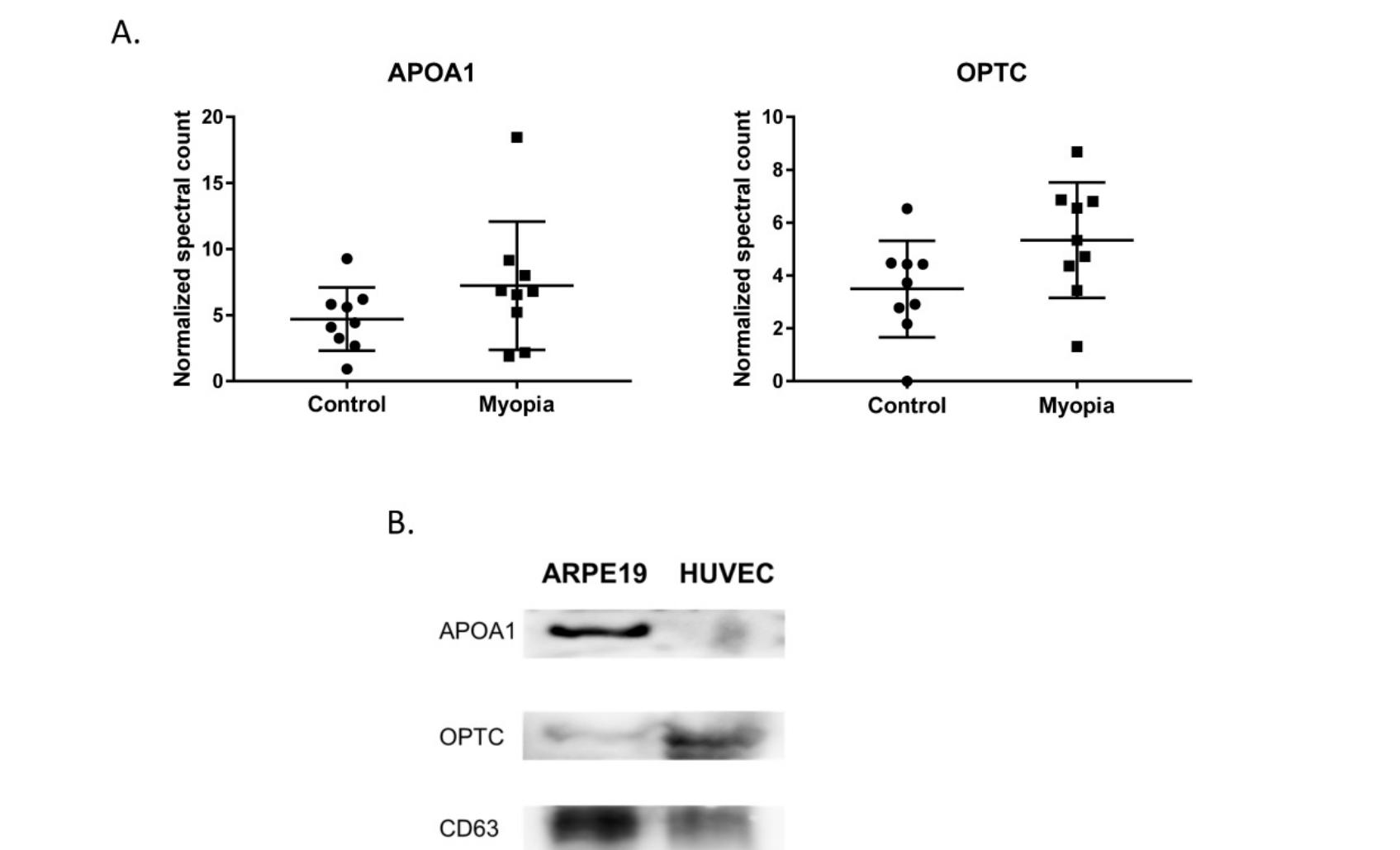 (PDF) Proteomic analysis of Exosomes derived from the Aqueous Humor of ...