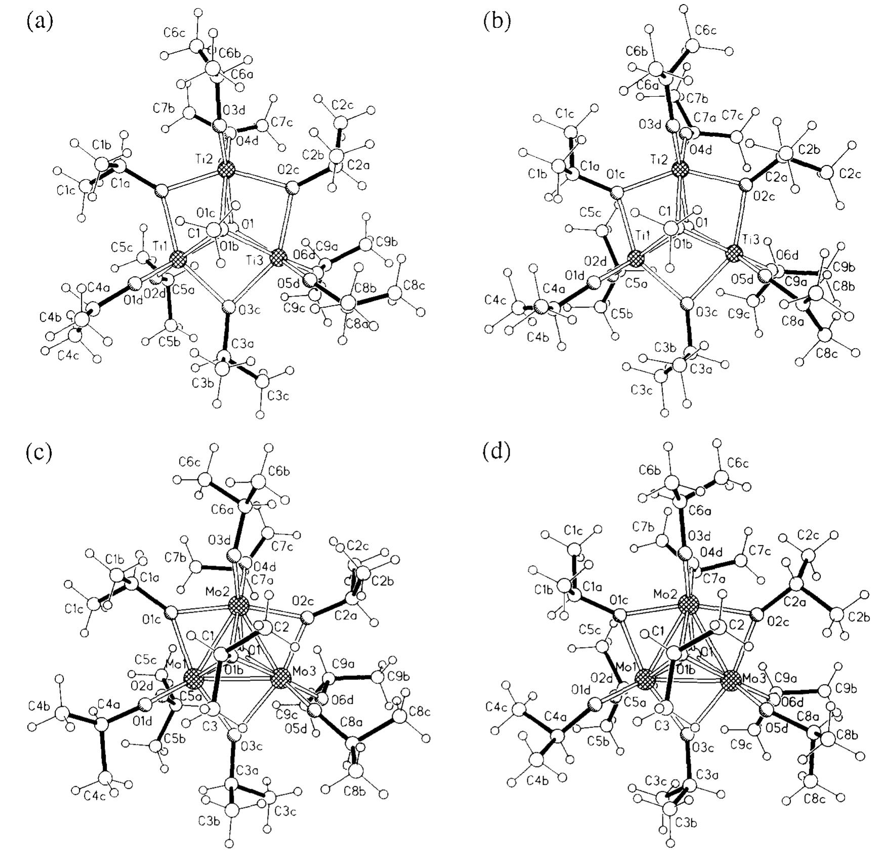 Perspective drawings of the same molecules shown in fig. 3,