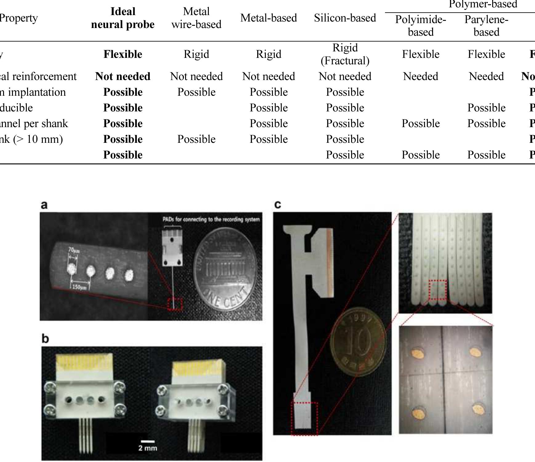 (PDF) Liquid crystal polymer (LCP)-based neural prosthetic devices