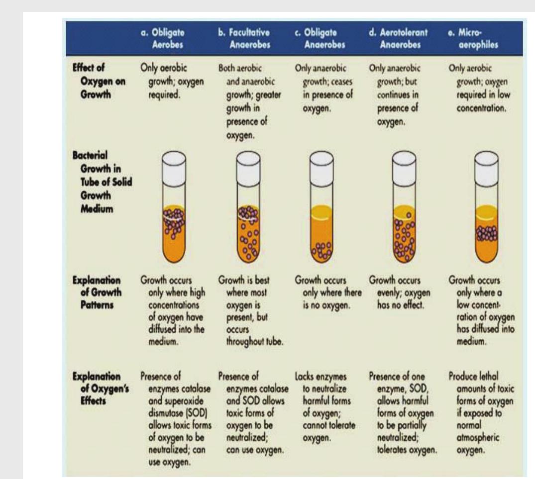 Figure 51 - from Veterinary Clinical Practice and Diagnosis