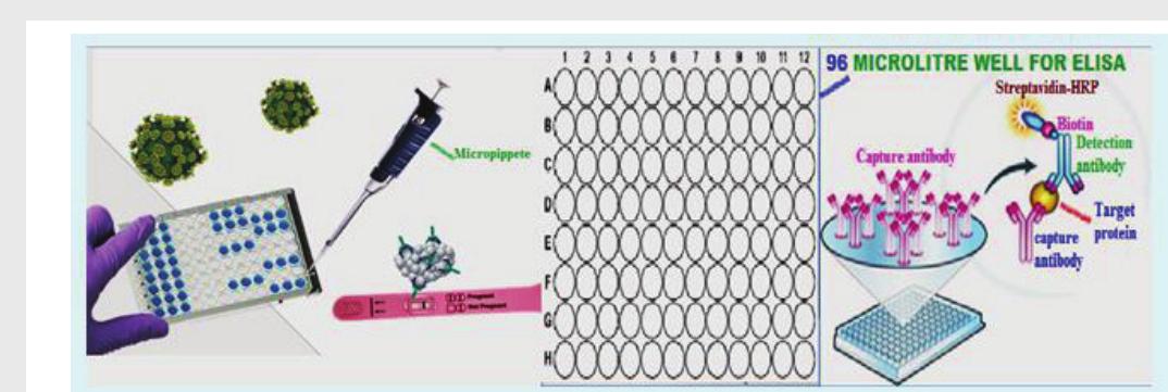 Figure 60 - from Veterinary Clinical Practice and Diagnosis