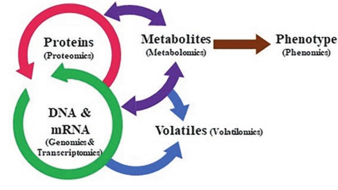PDF) Molecular Advances in Insect Resistenace of Field Crops