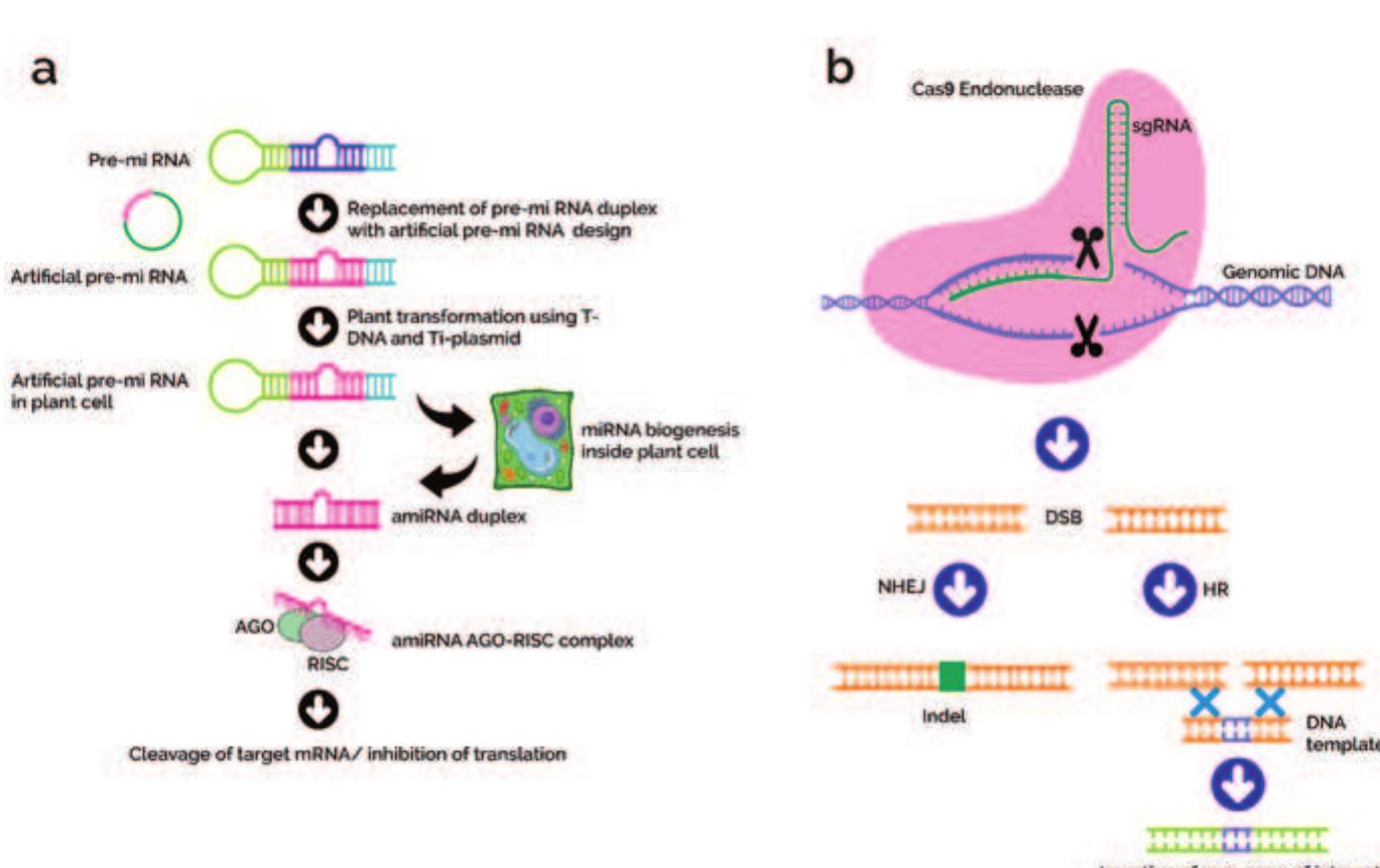 PDF) Molecular Advances in Insect Resistenace of Field Crops