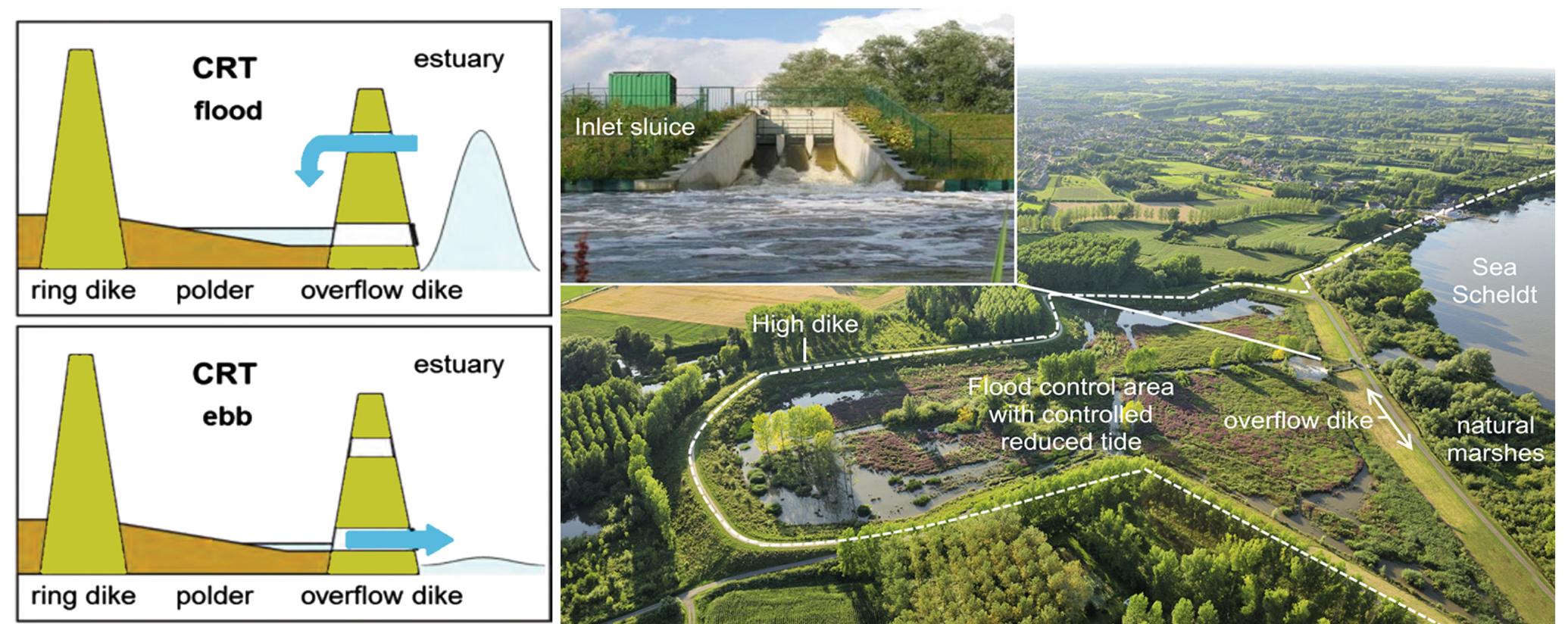 (PDF) The Scheldt Estuary: An Overview of the Morphodynamics of ...