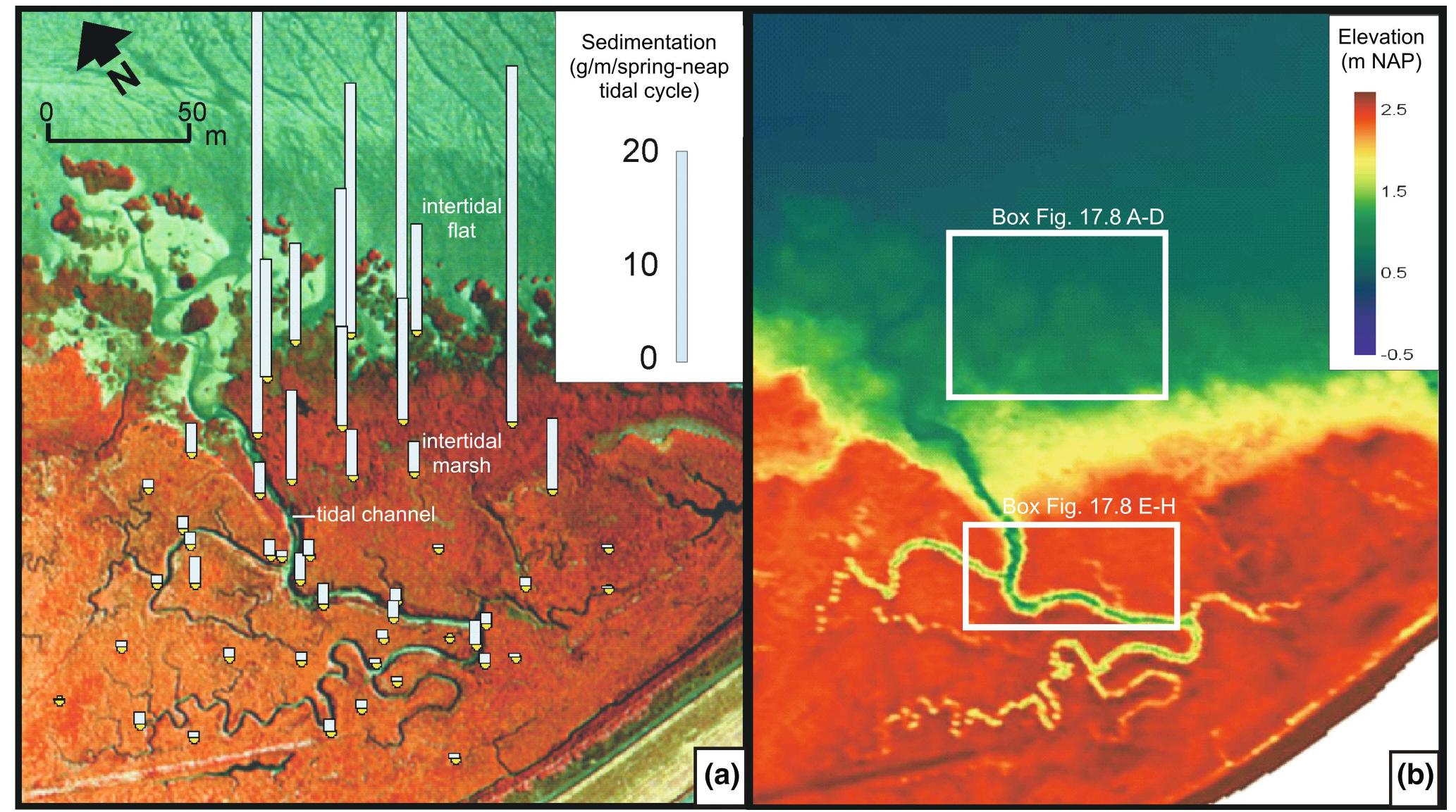 (PDF) The Scheldt Estuary: An Overview of the Morphodynamics of ...