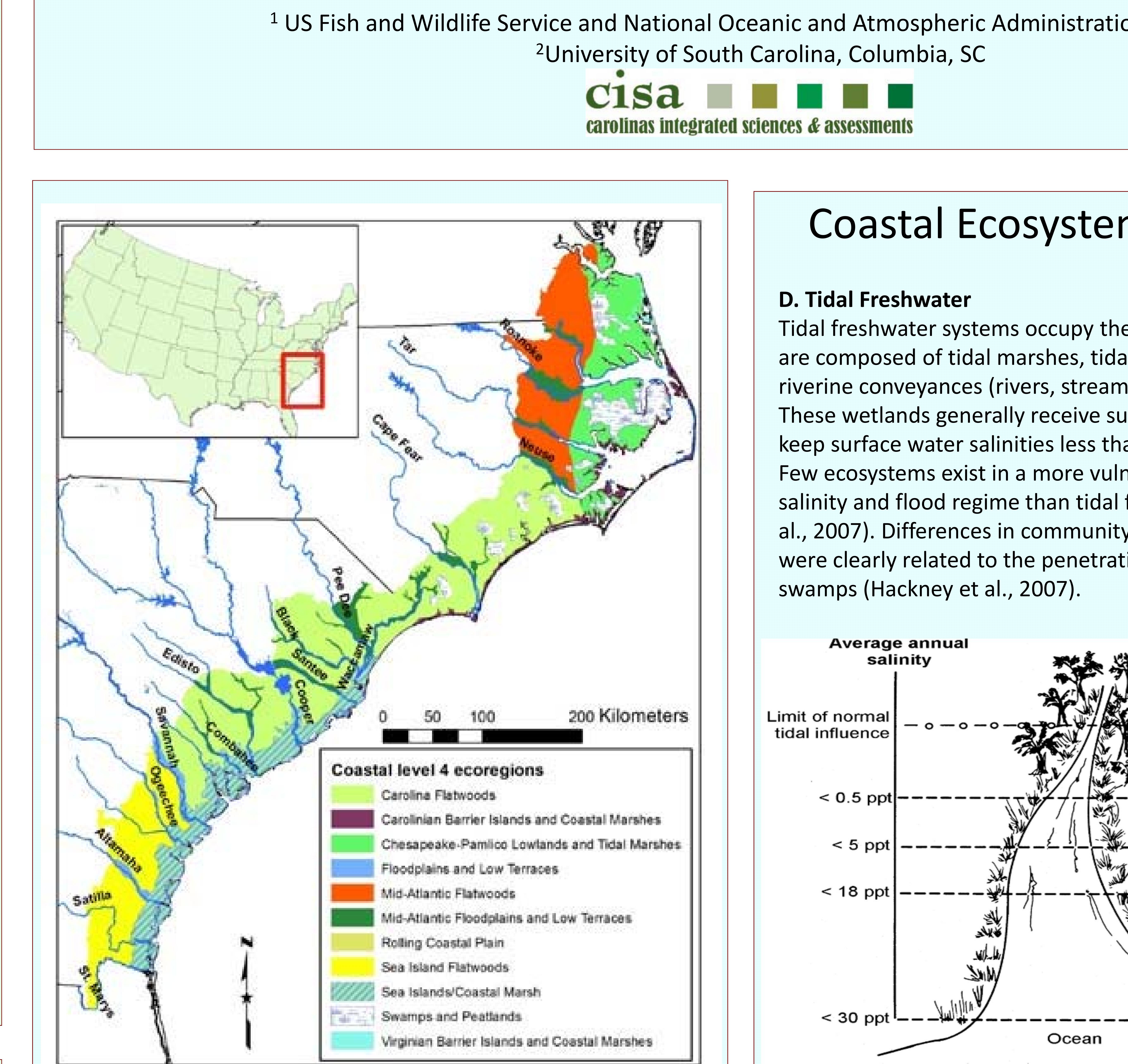 (PDF) The Impact of Drought on Coastal Ecosystems in the Carolinas