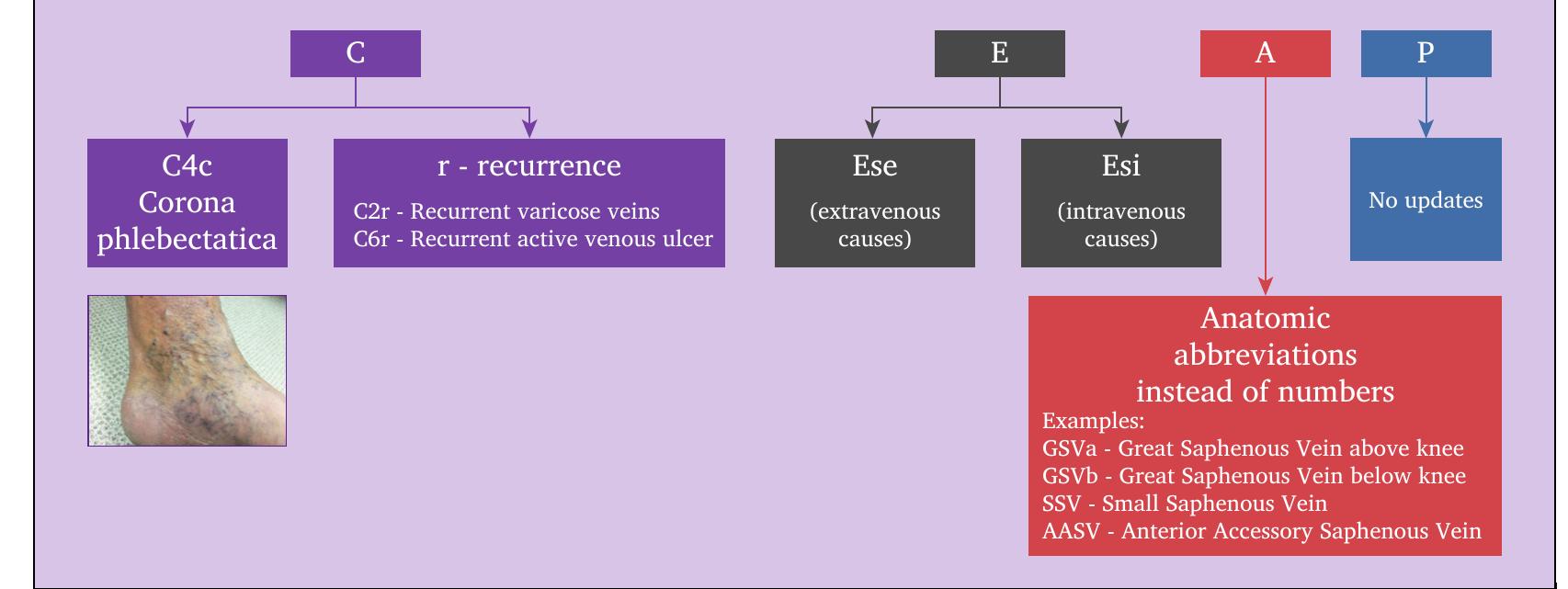 Revised Ceap (PDF) The 2020 Update of the CEAP Classification: What is New?