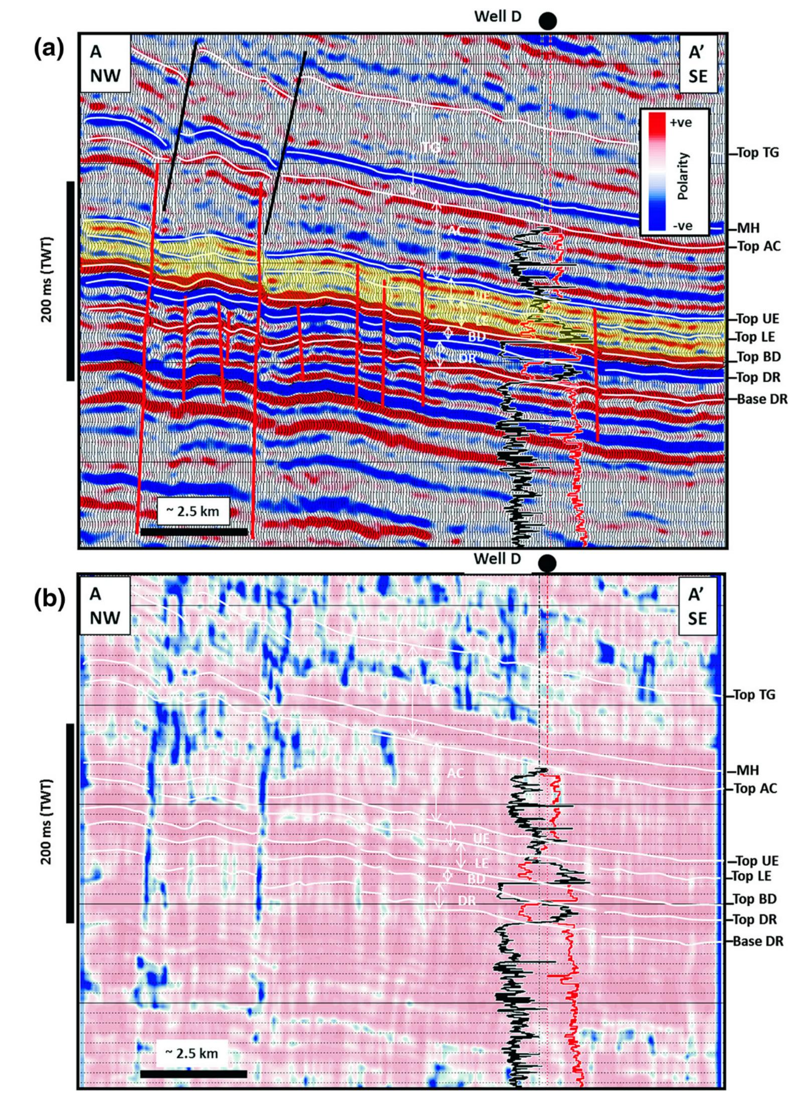 Our database consists of a 3d seismic survey covering a