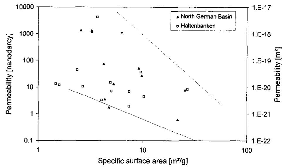 Permeability vs specific surface area for shale cap rocks