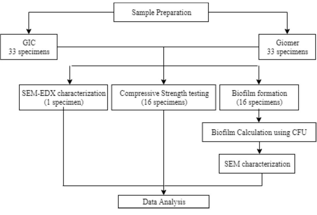 (PDF) The Comparison of Biofilm Formation, Mechanical and Chemical ...