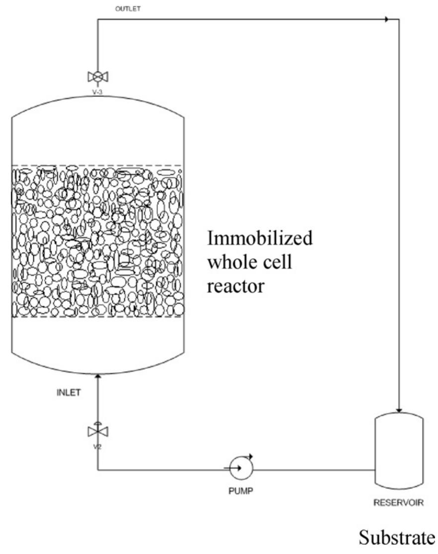 (PDF) Bioconversion of sucralose-6-acetate to sucralose using ...