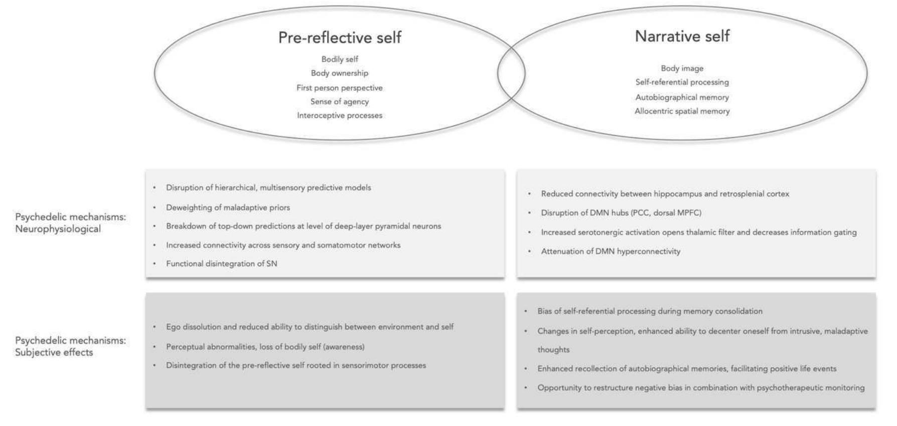 (PDF) Neuropharmacological modulation of the aberrant bodily self ...