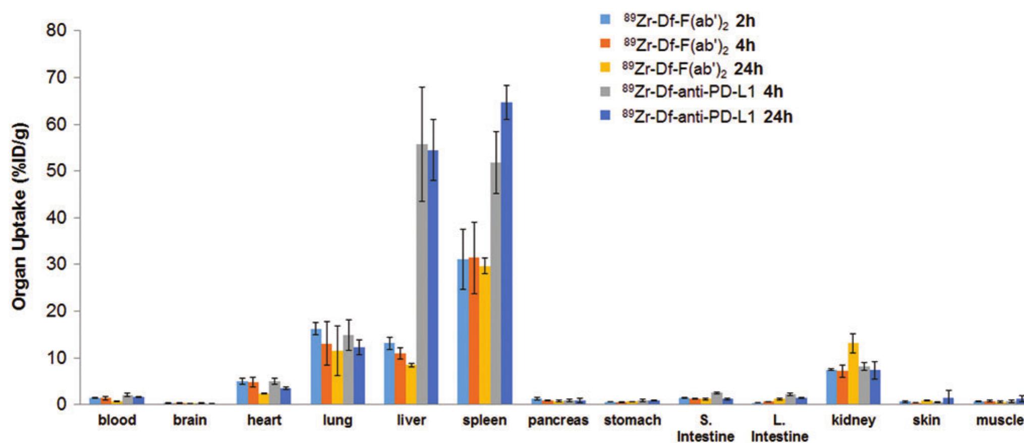 C57 Injection (PDF) 89Zr-Labeled Anti-PD-L1 Antibody Fragment for Evaluating In Vivo ...