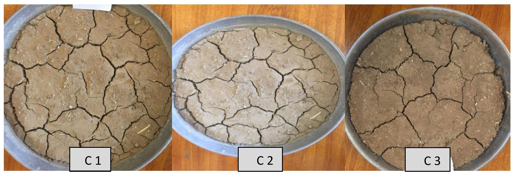 (PDF) The Behavior and Pattern of Soil Cracks and Its Managements in ...