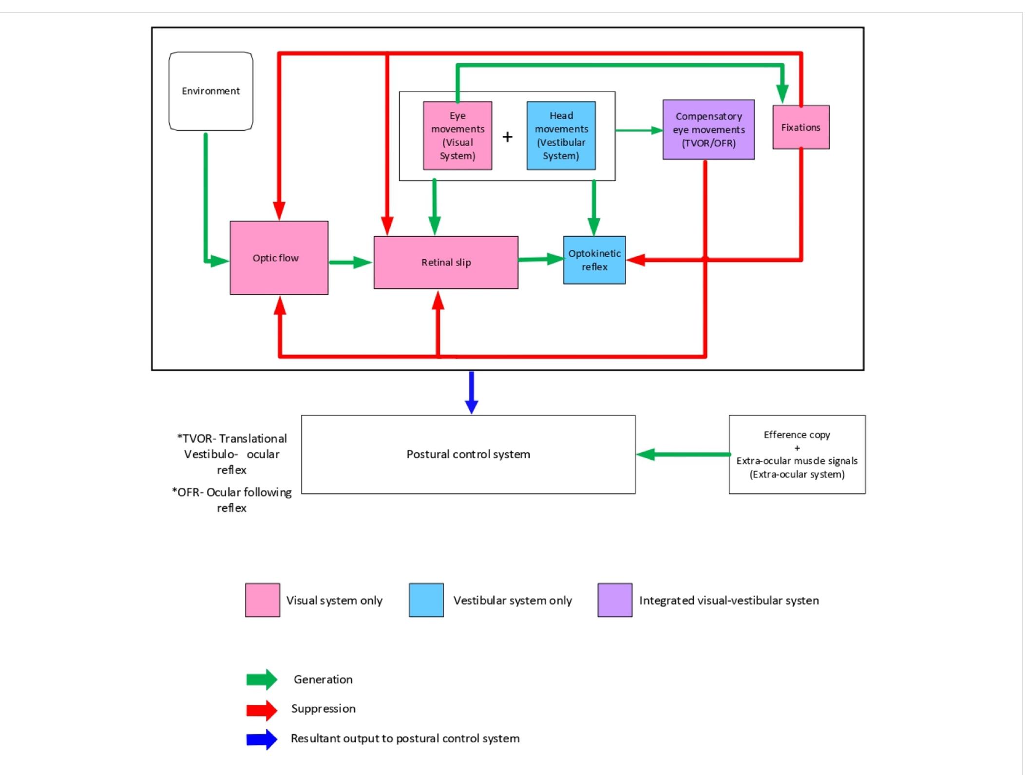 (PDF) The Differentiation of Self-Motion From External Motion Is a ...