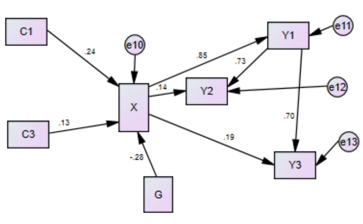 Path diagram of final model