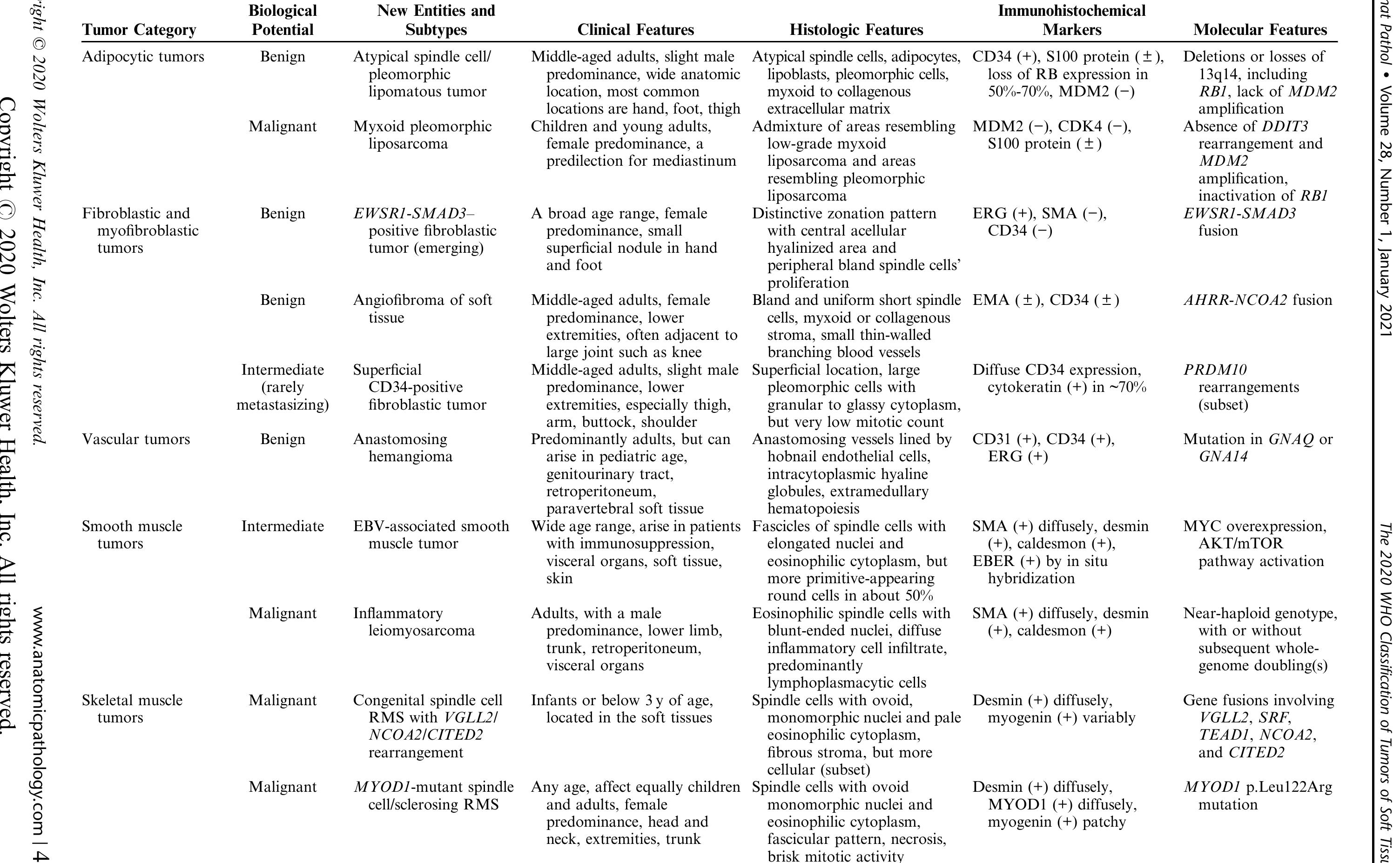 (PDF) The 2020 WHO Classification of Tumors of Soft Tissue: Selected ...