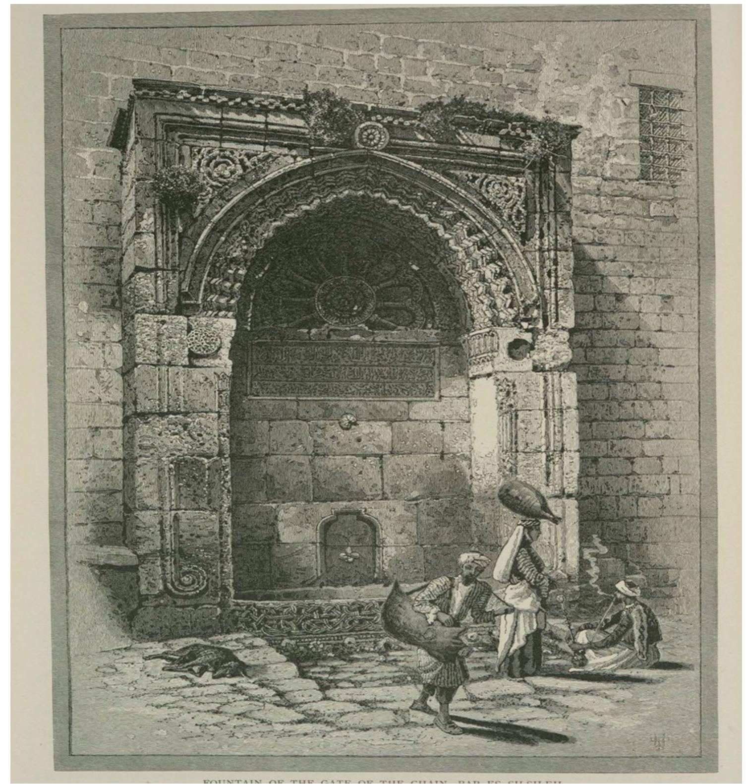 Human sakhnini king (79) 사진