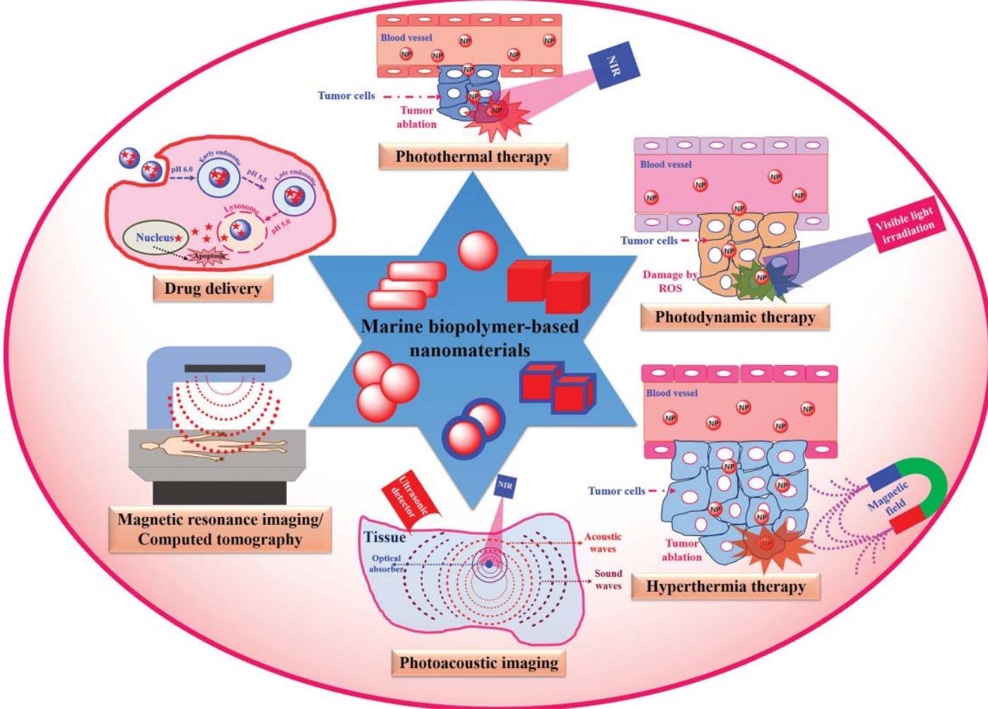 Schematic representation of theranostic applications of