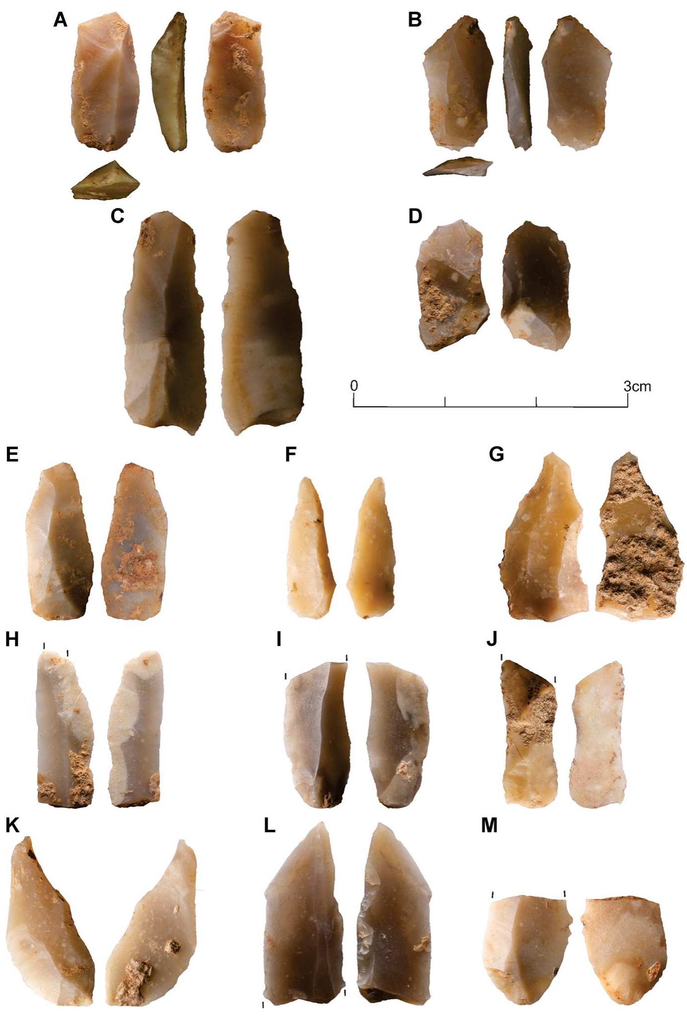 Table 7. Technological categories: R indicates the retouched pieces, B indicates the pieces produced by the bipolar technique (Excavation 2016-2018) 
