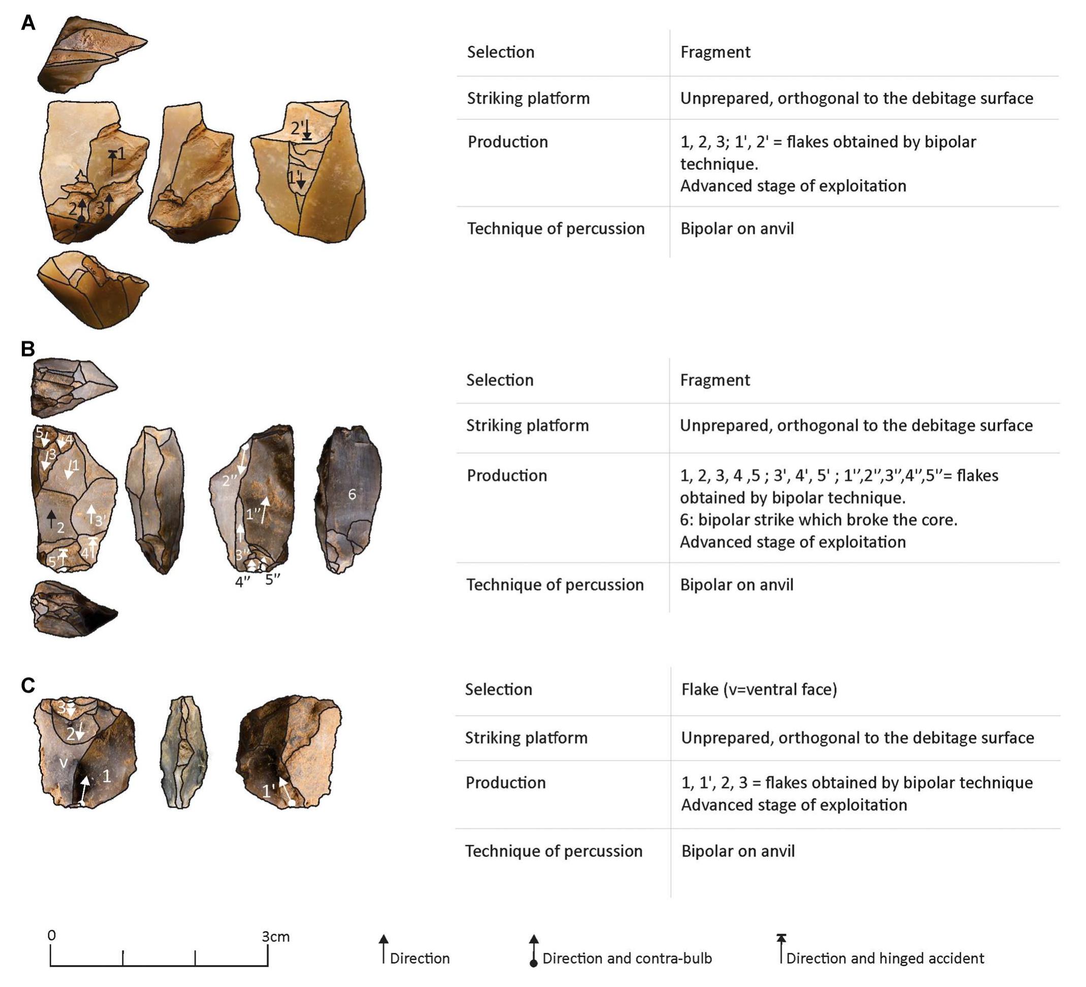 Figure 8. Bipolar cores from SU 17 (A-C). [Color figure can be viewed at wileyonlinelibrary.com]. 