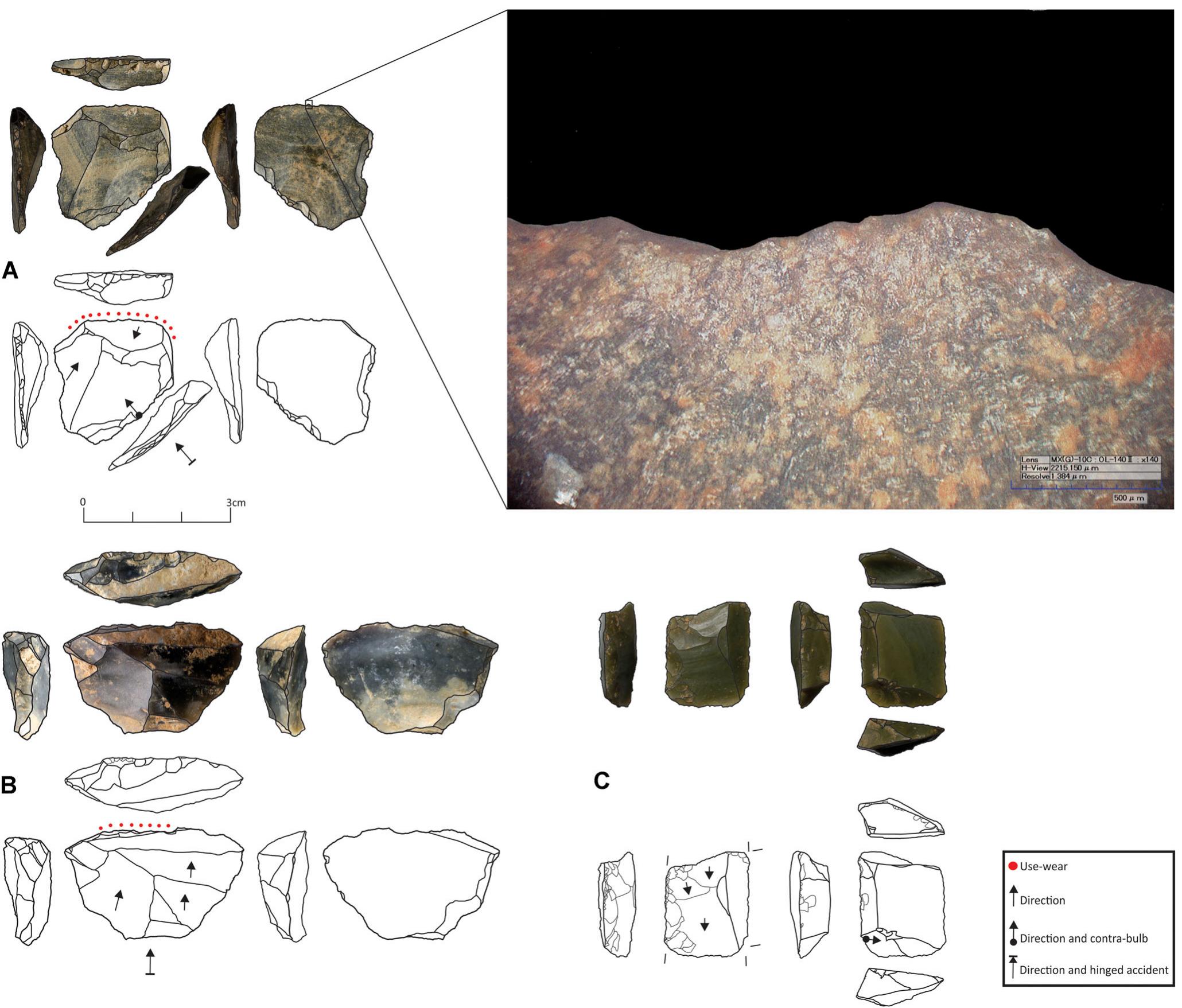 Figure 10. Retouched tools. The pointed line indicates the presence of use-wear. A, B: transverse scrapers, C: lateral scraper. [Color figure can be viewed at wileyonlinelibrary.com]. 