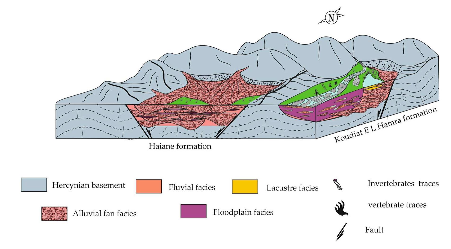 Schematic model showing the tectonic and sedimentary context