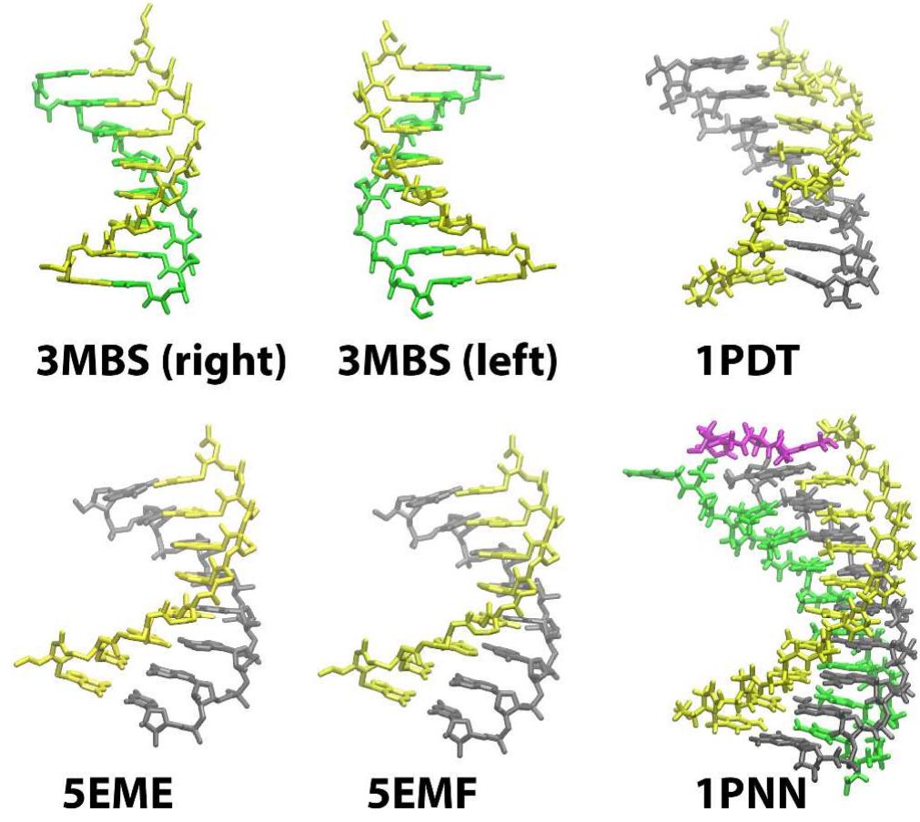 Peptide nucleic acid (left) vs. dna and rna (right).