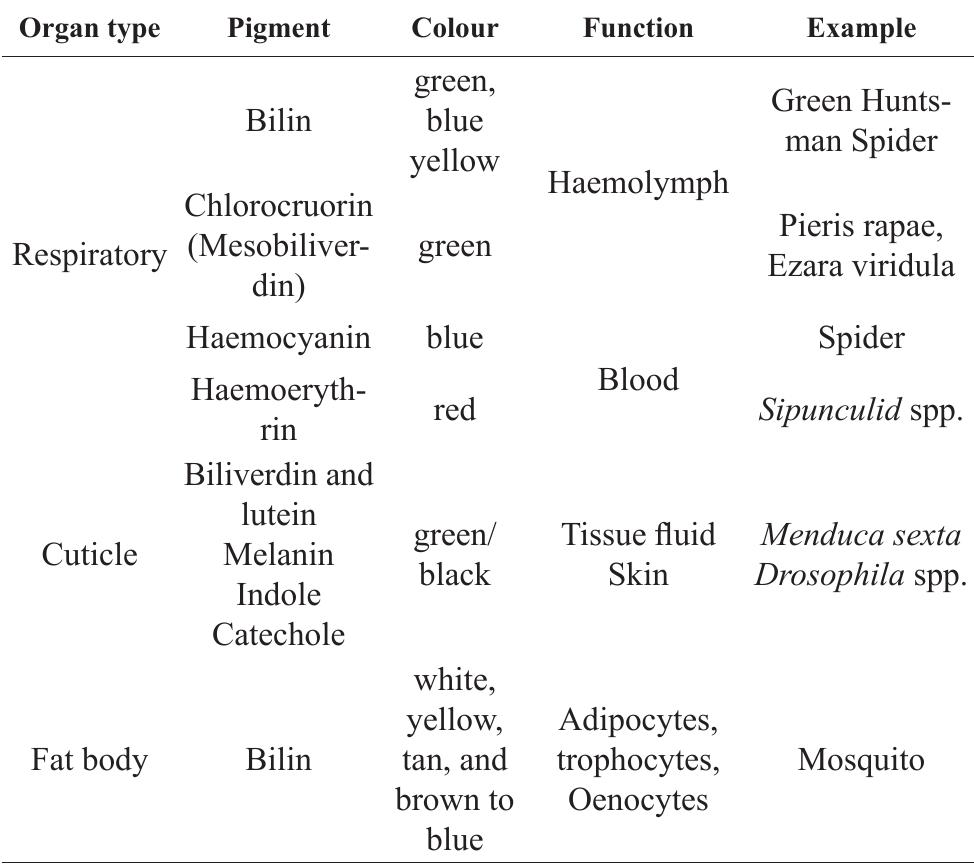 (PDF) Diversity of Pigments in Insects, Their Synthesis and Economic ...