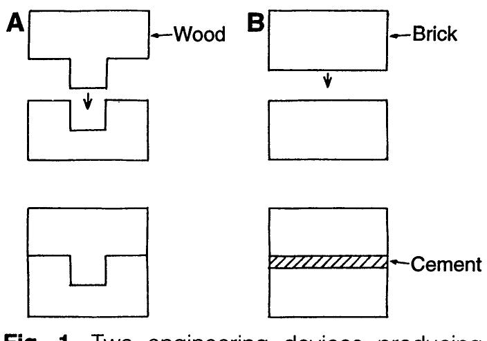 (PDF) Adhesion: Molecules and Mechanics