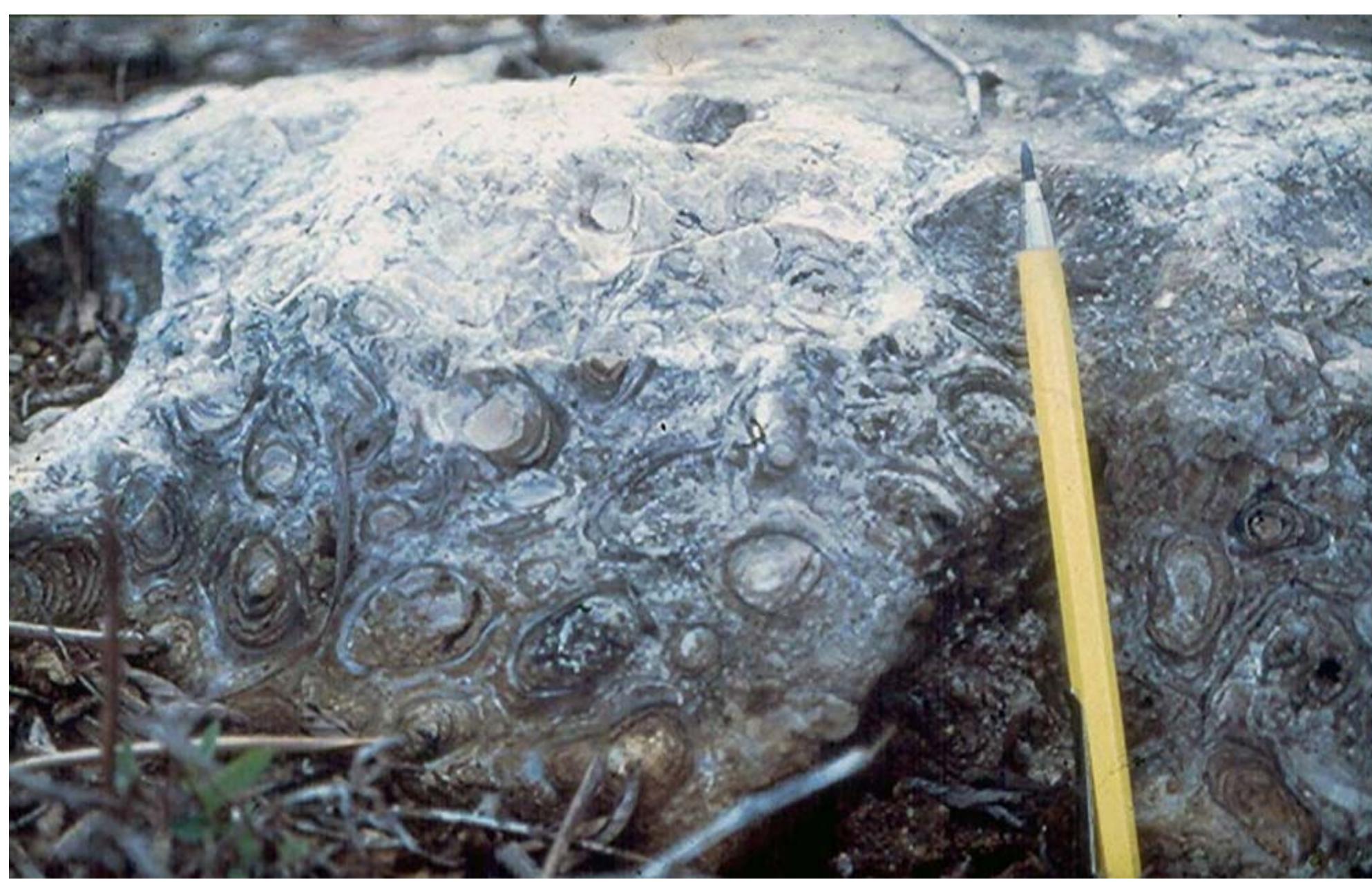 Figure 6 - from End of a modern geological myth: there are