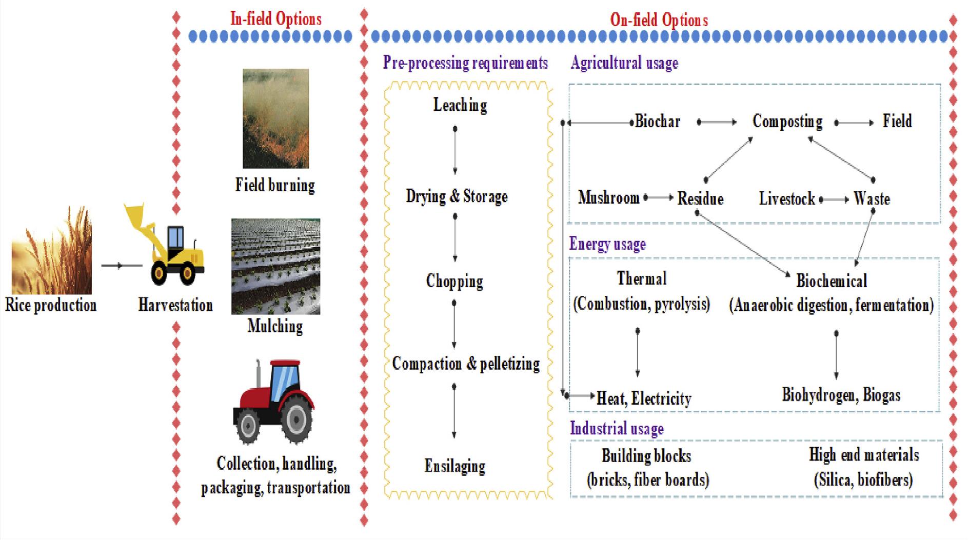 Biofuel From Rice (PDF) Biofuel from rice straw