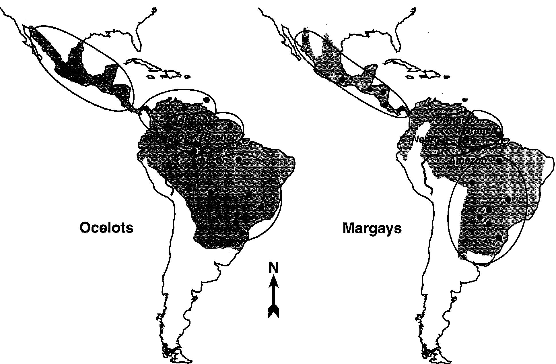 Ocelot Distribution Map Map showing the current distribution [shaded area (adapted