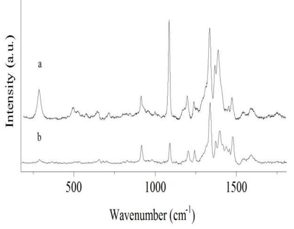 (PDF) Raman Spectroscopy in Corals and Pearls