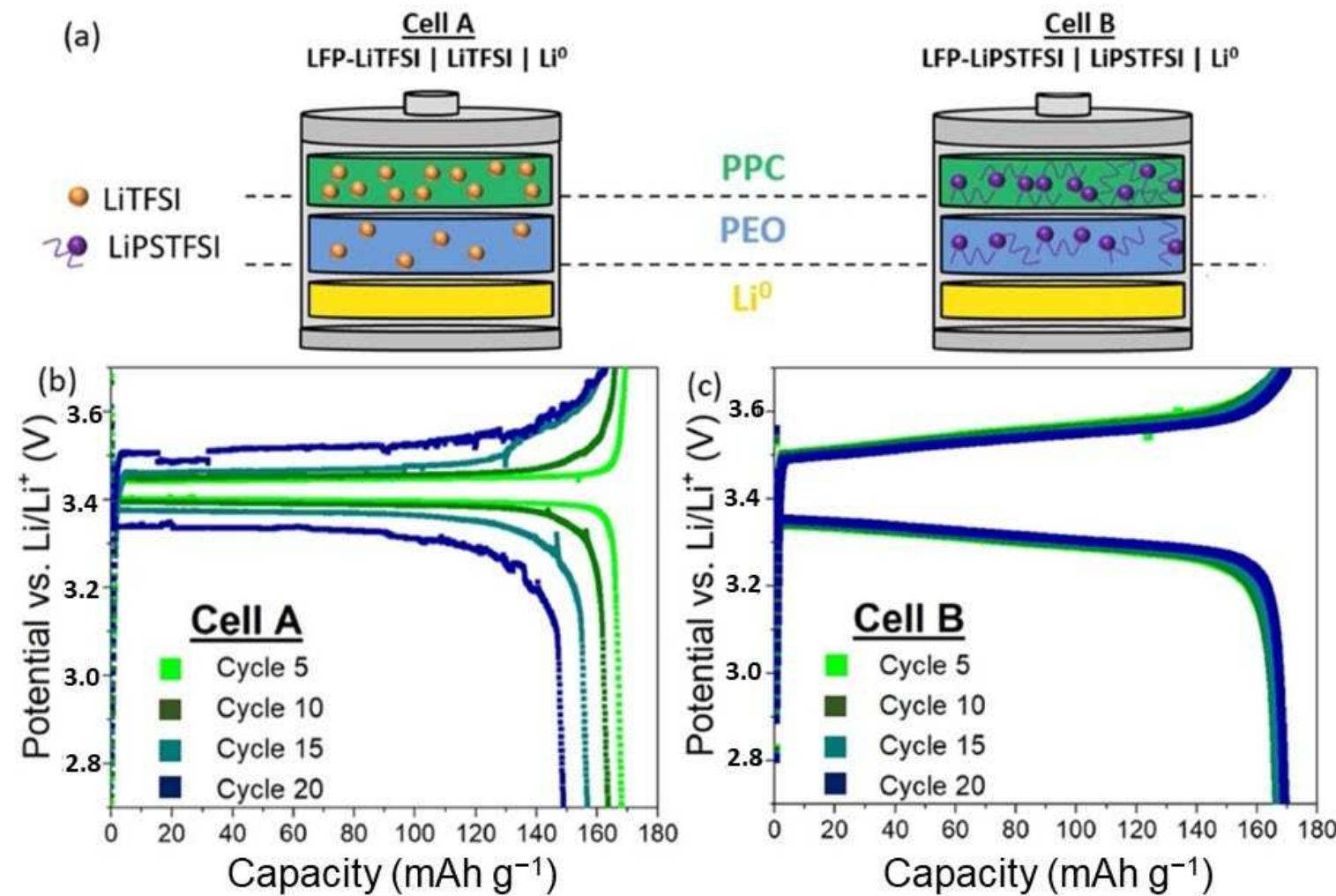 (PDF) Solid Polymer Electrolytes for Lithium Batteries: A Tribute to ...