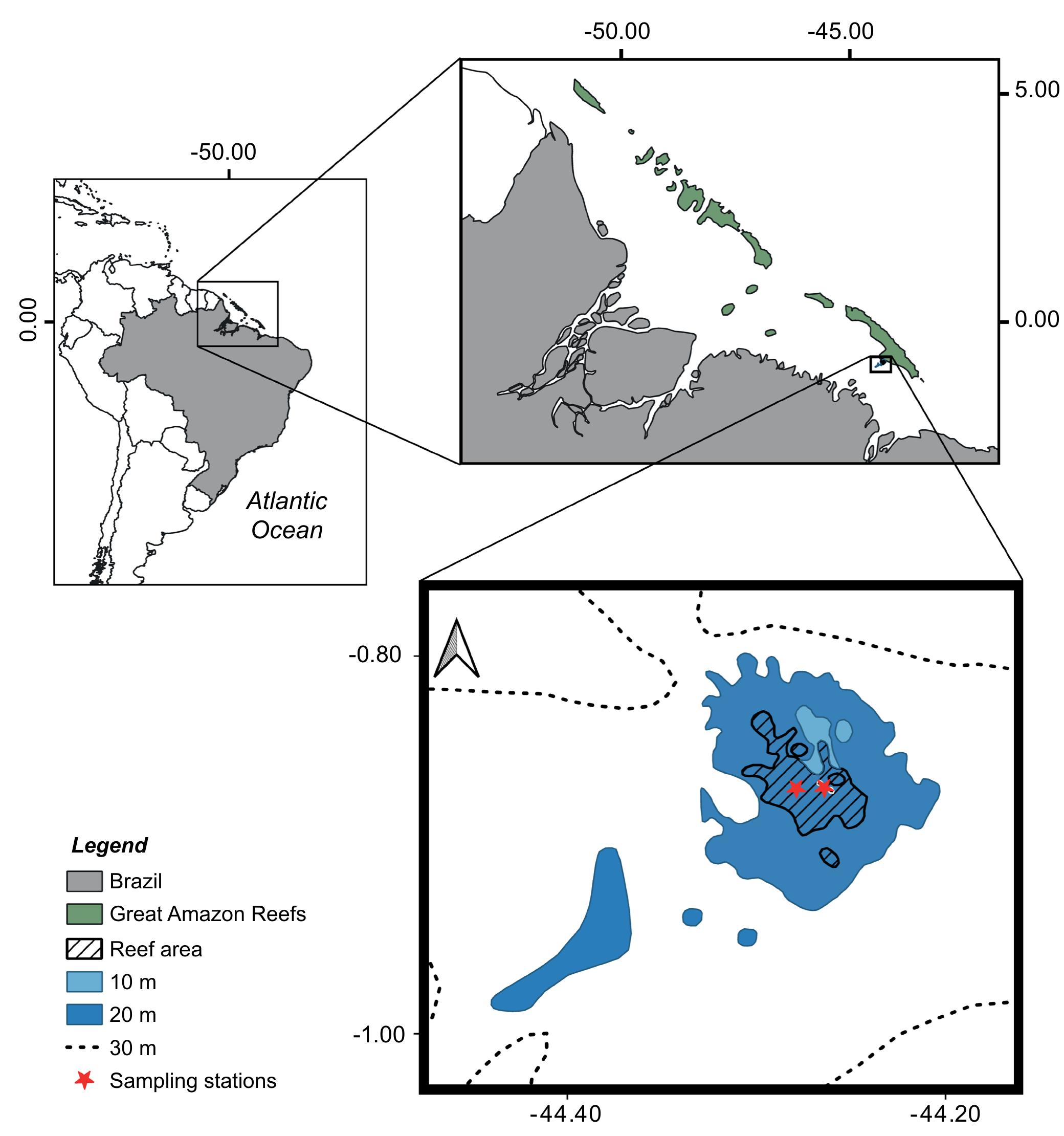 (PDF) Conservation status of the southernmost reef of the Amazon Reef ...