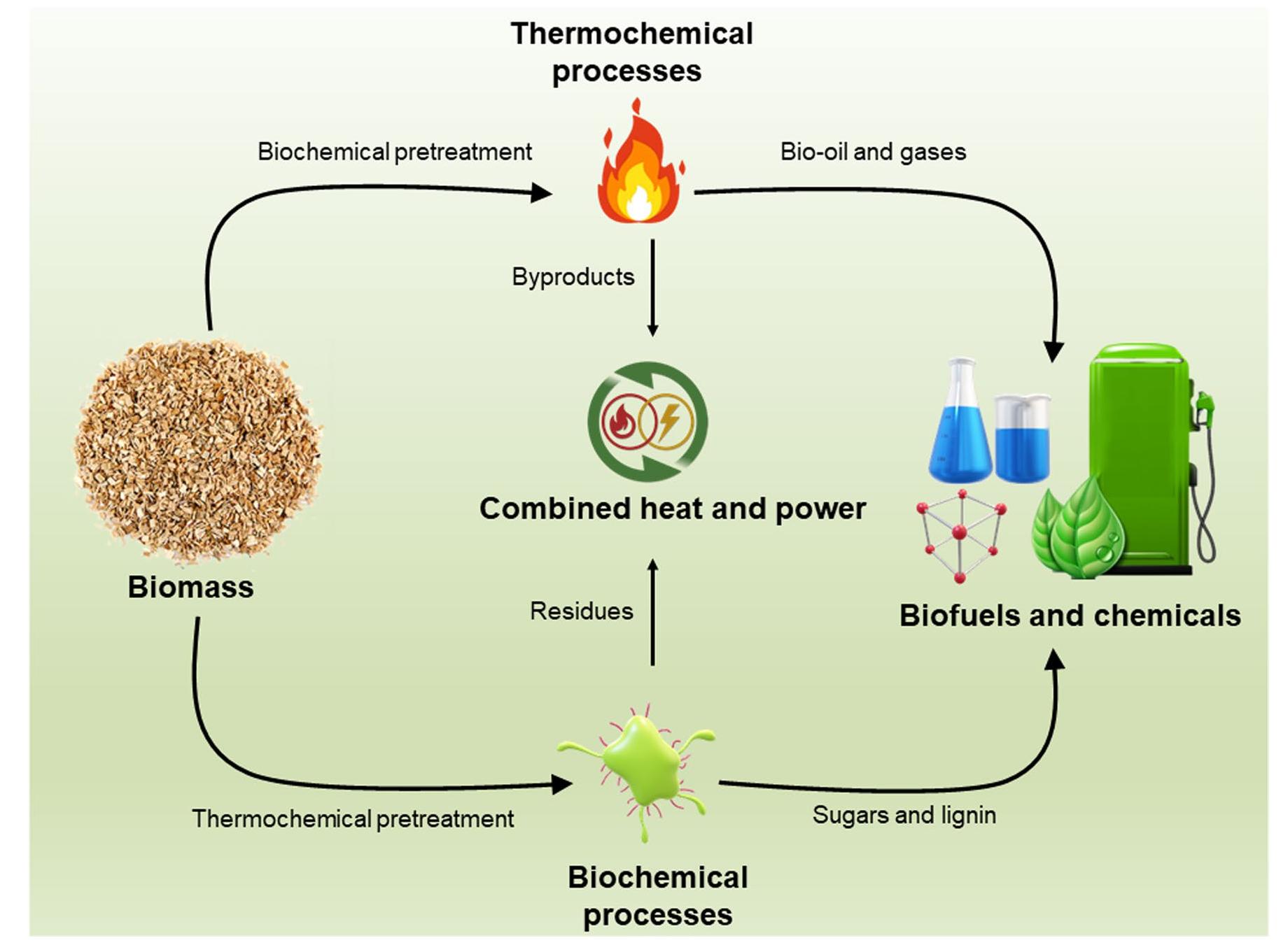Figure 1 - from Conversion of biomass to biofuels and life